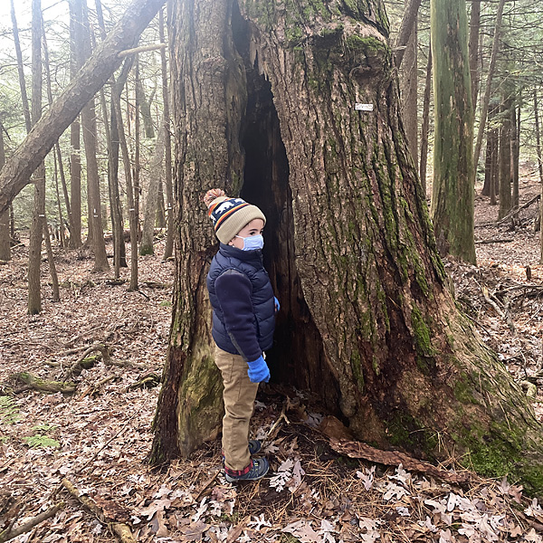 The Best Guided Hiking Trips In Canada