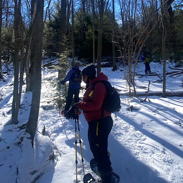 Snowshoeing and Winter Hikes at Deep Creek - All Earth Eco Tours, LLC