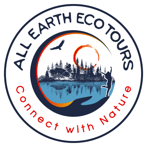 All Earth Eco Tours, LLC